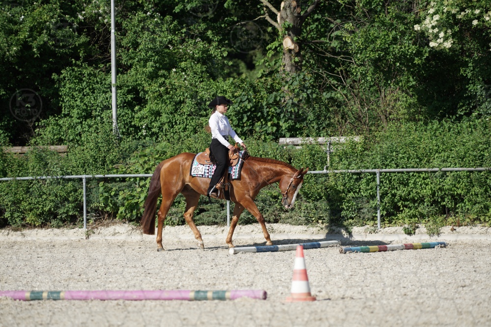 s_APF06846.jpg